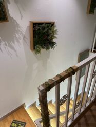 -薇薇安花系SPA