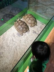 -未来动物城动物主题公园(大悦城店)
