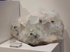 -重庆自然博物馆(新馆)