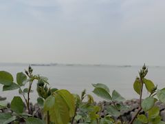 -上海滨江森林公园