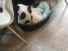 -小时光咖啡馆(北锣鼓巷店)