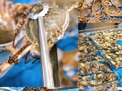 -半岛听涛蒸汽海鲜自助(K11店)