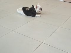 -怪兽屋·羊驼·猫咖·狗咖(俊华广场店)