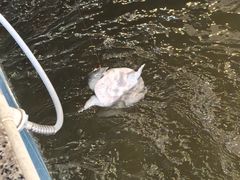 -粮心小农·大头虾亲子生态园(长发店)