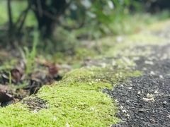 -乌石村