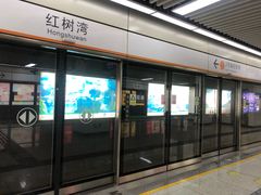 -红树湾(地铁站)