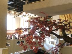 -小京华楼·京味斋(三元桥国展店)