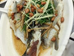 -粤·向群饭店(龙津东路总店)