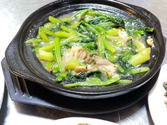 -龙眼南白粥六顺白粥