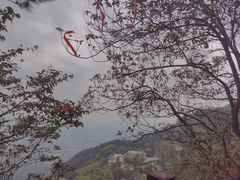 -缙云山景区