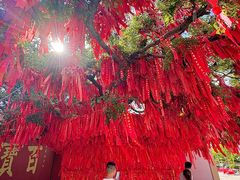 -广州莲花山旅游区