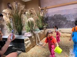 -造物庄园 萌宠纪(苏州湾歌林公园店)