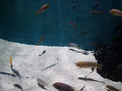 -苏州海洋馆