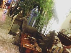 -RGF(巨鹿路店)