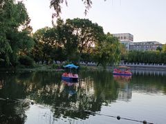 -万泉公园
