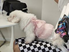 -怪兽屋·羊驼·猫咖·狗咖(俊华广场店)