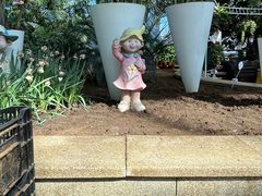 -石家庄市植物园