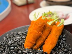 -丁老爷子苏香圆