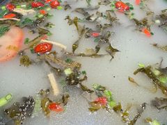 -景明轩•养生酸汤鱼火锅 云贵鲜菌 现舂野果酸汤(王寨小区店)