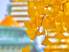 -北京石刻艺术博物馆(五塔寺)