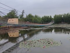 -微山湖红荷湿地景区
