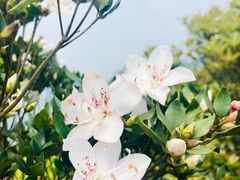 -七娘山