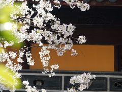 -龙华寺