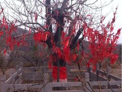 iphone_upload_pic-蒙山大佛景区