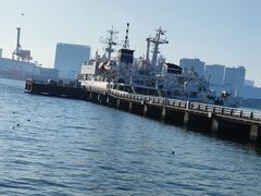 -台场海滨公园船码头