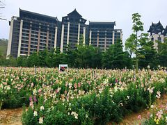 -清远熹乐谷温泉度假酒店