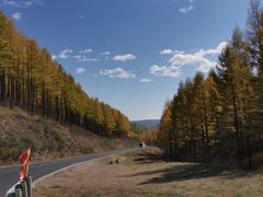 -塞罕坝国家级自然保护区