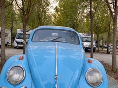 -TIPPI营地 房车主题·露营烧烤团建轰趴(天安假日店)