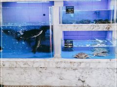 水产区-香山湖渔家大院