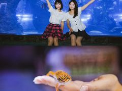 -南昌海洋公园