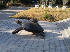 -广东惠东海龟国家级自然保护区