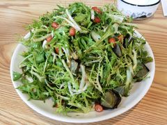 苦苣皮蛋花生-方城小吃店