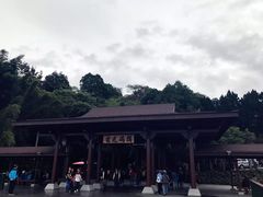 -金盆阿嬷香菇茶叶蛋(玄光店)