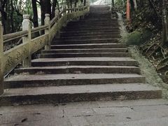 -普陀山风景区-佛顶山