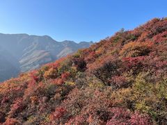 -周口店坡峰岭风景区