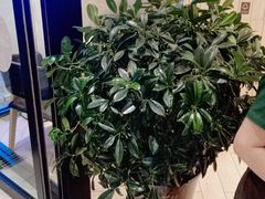 -德克士(绿地店)