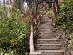 -野象谷景区