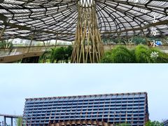 -江门古劳水乡旅游区