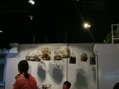 景观位-一笼小幸运