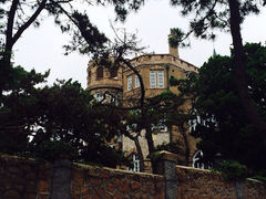 iphone_upload_pic-八大关景区
