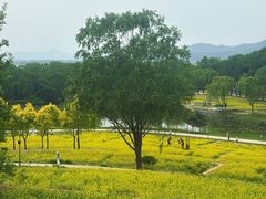 -北坞公园