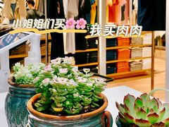 -优衣库(深圳万象天地旗舰店)