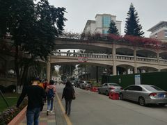 -南方医科大学南方医院(院本部)