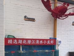 -不炭白烧烤(成都首店)