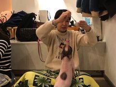 -浣熊柯尔鸭土拨鼠·电玩咖