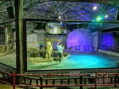 -清迈夜间动物园